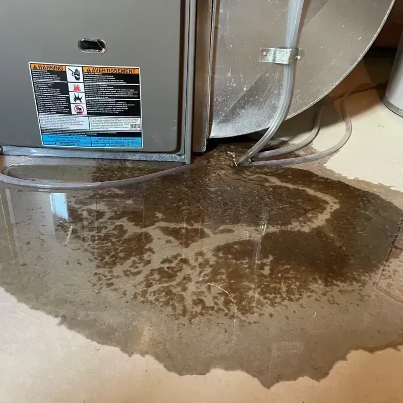 Appliance Leak Cleanup in South Pekin, IL